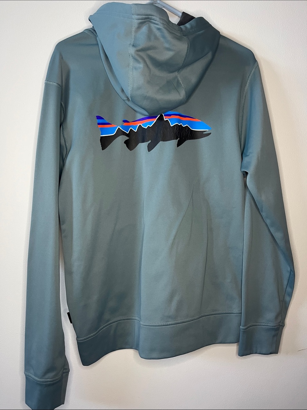 Patagonia Men's Fitz Roy Trout PolyCycle Full-Zip Hoodie Jacket Fish Detail
